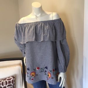 NWOT Zara Cute Gingham Embroidered Top